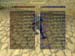 Shot0005_24