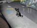 Shot0006_17
