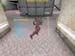 Shot0006_19