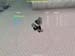 Shot0007_21