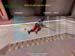 Shot0007_7