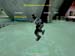 Shot0013_8