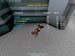 Shot0027_10