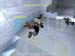 Shot0029_9