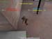 Shot0030_3