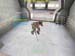 Shot0032_13