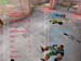 Shot0034_9