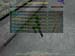 Shot0036_23