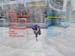Shot0036_5