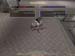 Shot0045_23