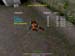 Shot0047_9
