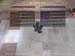Shot0049_24