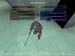 Shot0050_24