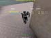 Shot0053_15