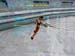 Shot0058_10