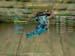 Shot0062_8