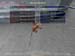 Shot0063_24