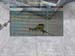 Shot0068_22