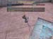 Shot0069_24