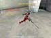 Shot0070_9
