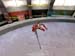 Shot0071_9
