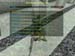 Shot0073_24