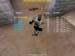 Shot0074_13