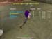Shot0075_2