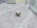 Shot0075_22