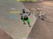 Shot0076_19