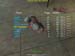 Shot0076_21