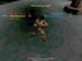 Shot0076_8