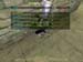 Shot0077_22
