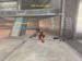 Shot0077_4
