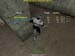Shot0079_17