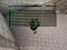 Shot0079_22