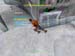 Shot0081_3