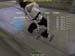 Shot0082_12