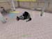 Shot0083_13