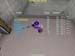 Shot0084_19